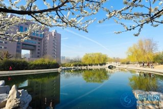 可按栏目接着查阅相关条目