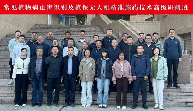 对照阅读日